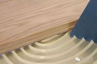 地板輔料大全 一個(gè)都不能小看膠粘制品